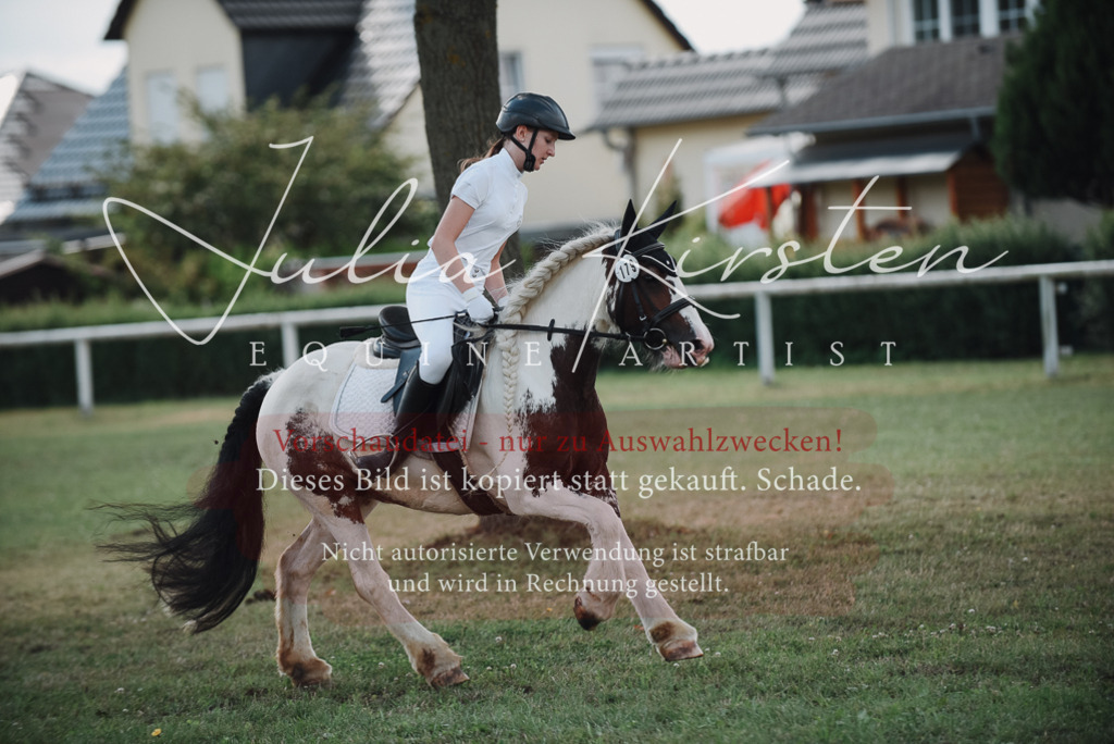 DSC_5643 | Pferde- und Turnierfotografie in Westsachsen. Pferdeportraits, Auftragszeichnungen und intuitive Kunst.