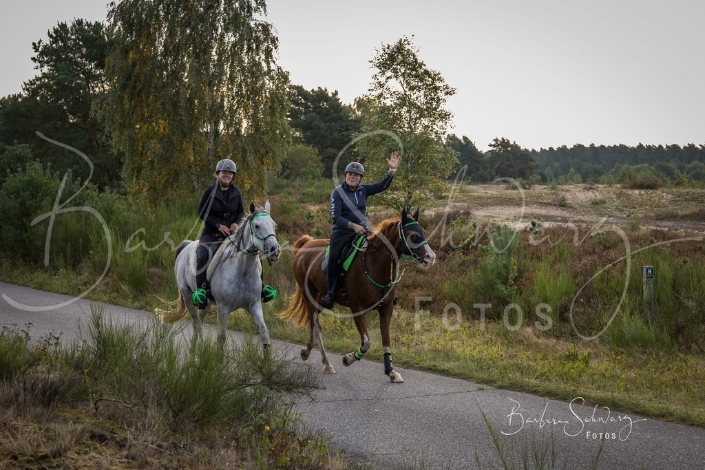 DdLH-TrotBy_2025-09-20_27 | Fotografie, Veranstaltungs-Fotografie, Pferde-Fotografie, Landschafts-Fotografie, Reise-Fotografie - Realisiert mit Pictrs.com