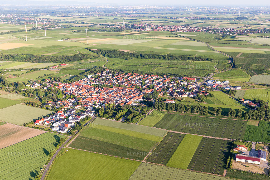 Luftbild: Landwirtschaftliche Nutzflächen und Feldgrenzen umsäumen das Siedlungsgebiet des Dorfes in Mörstadt im Bundesland Rheinland-Pfalz in Deutschland. Foto: IMG_107667.jpg vom 03.06.2018 durch Werner Riehm/FLY-FOTO.de