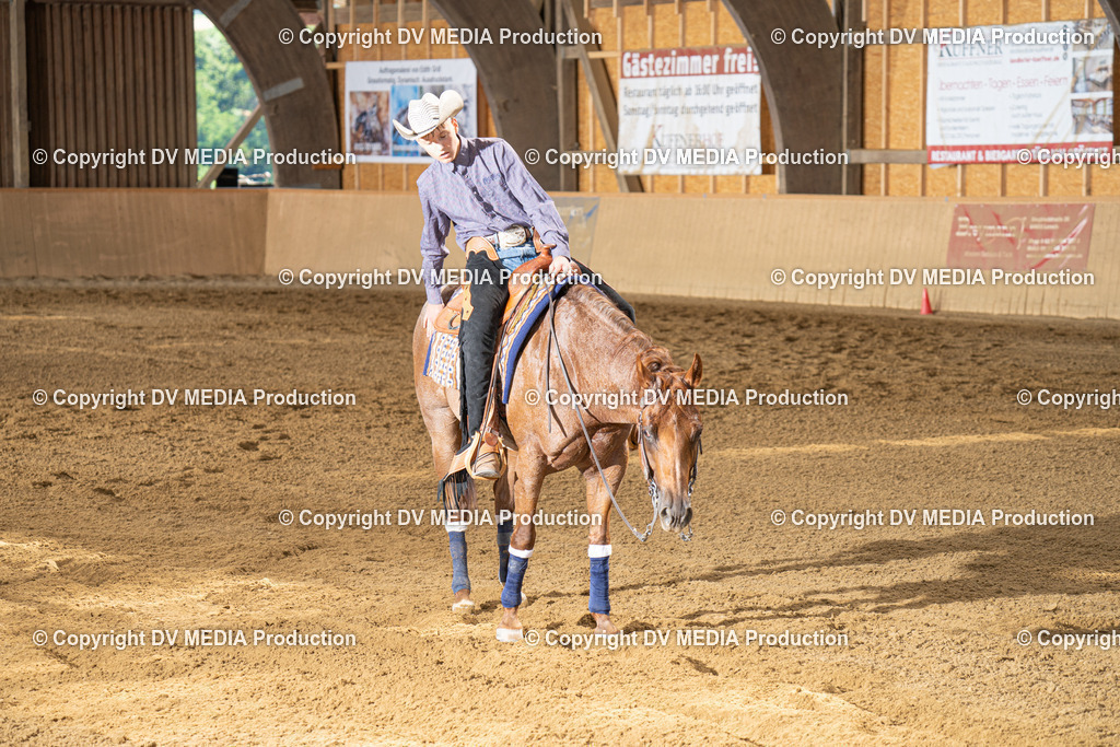 DSC00155 | dv-media-shop - Realisiert mit Pictrs.com