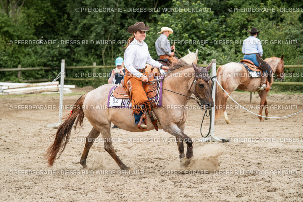 DSC02488 | Pferdegrafie