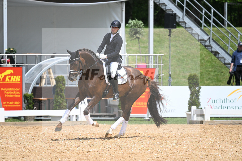 DSP Feliciano_11230736 | hf-fotografie - Realisiert mit Pictrs.com