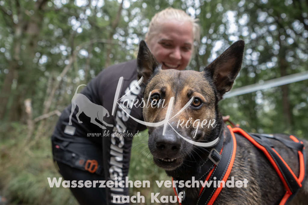 1331_ZZ94384 | kk-dogfotos