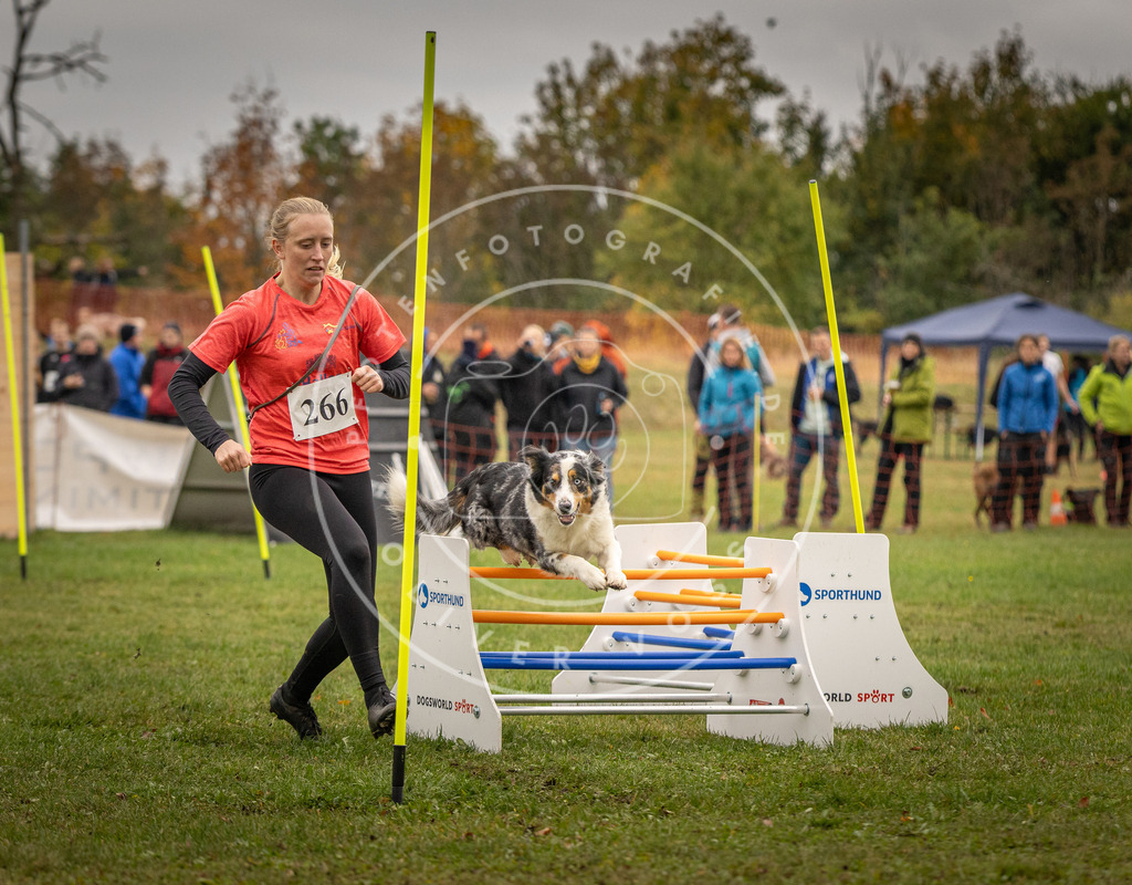 Pfotenfotografie_DV3A7103 | Hundefotografie, Tierfotograf, Pfotenfotografie, Fotoshooting Hund, Hunde Portrait, Hundesport, Hundeportraits, Heideshooting, Hunde, Sportfotograf, Hundefotograf, Turnierhundsport, THS,  - Realisiert mit Pictrs.com
