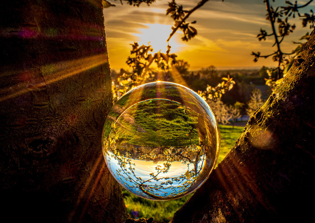 MPI_Sunset_0052 | Sonnenuntergang bei Appenweier auf einem Kirschacker - Realisiert mit Pictrs.com