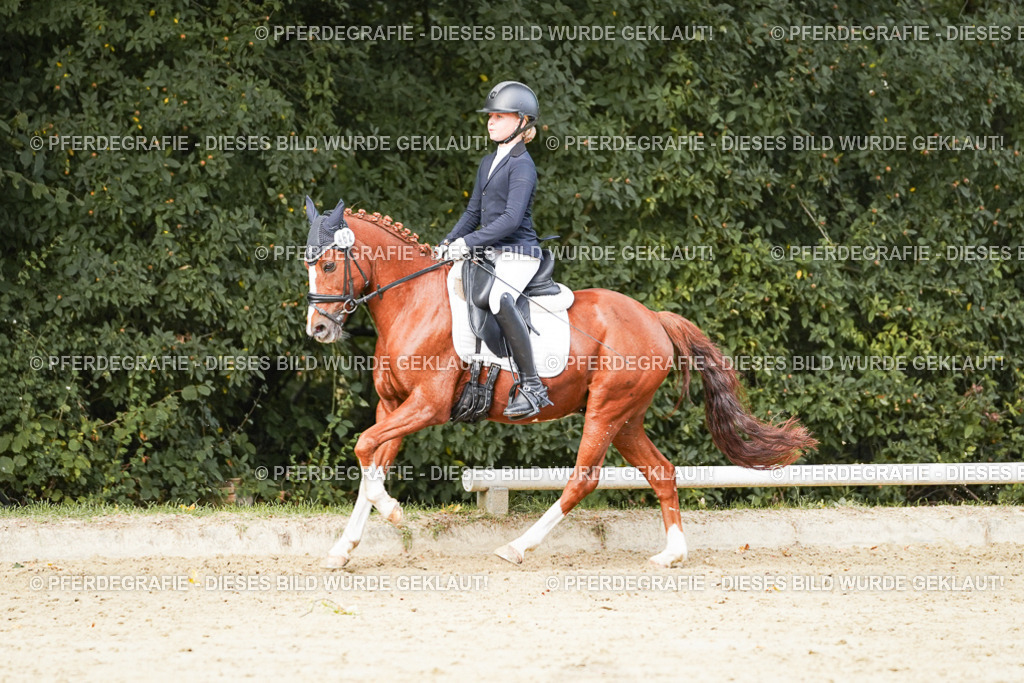 DSC03831 | Pferdegrafie