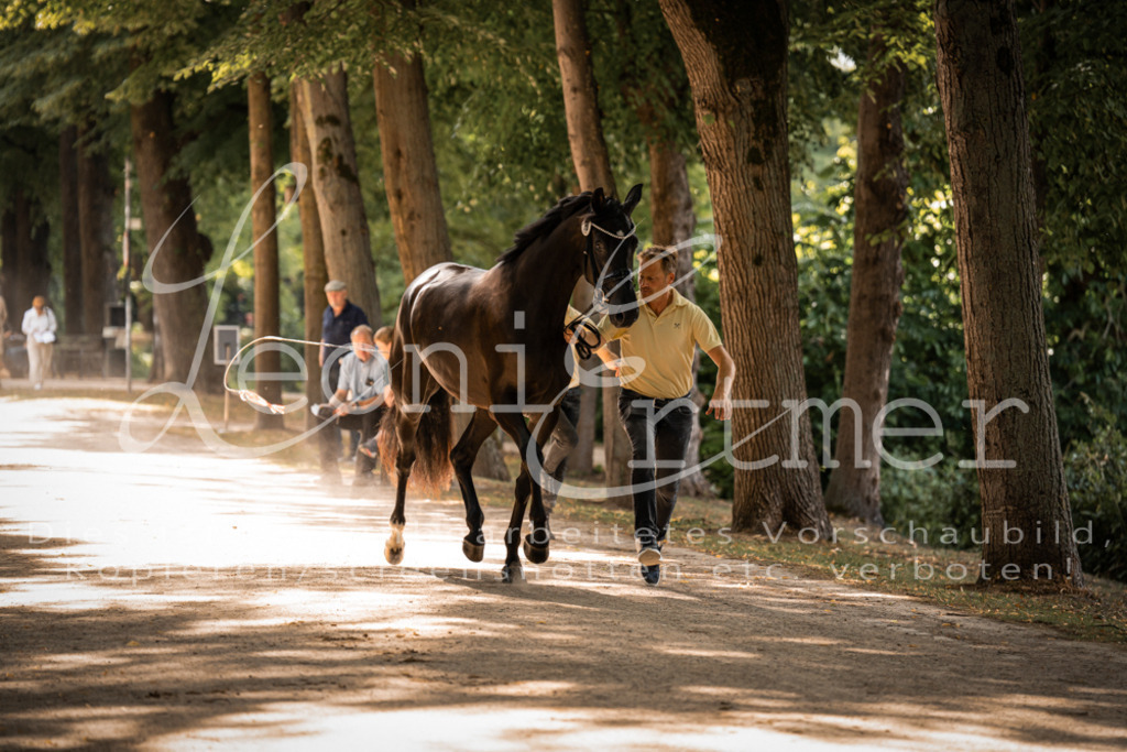 FrPfM00192 | Leoni Ertmer Photography - Realisiert mit Pictrs.com