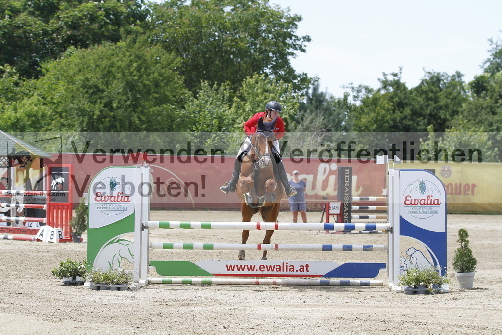 _MG_5540 | equestrian-live-com