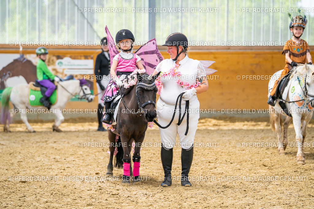 DSC00203 | Pferdegrafie