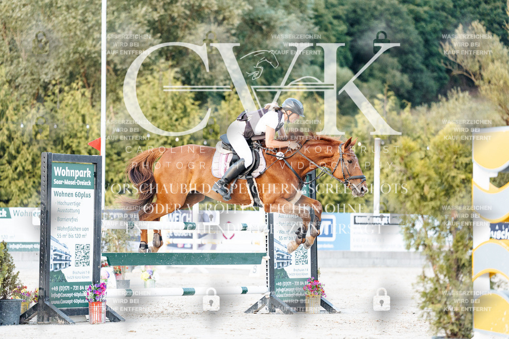 CK901394 | Turnierfotografie Pferdefotografie Trier Rheinland-Pfalz Pferdesport Reitsport Tierfotografie Sportfotografie Pferdevideo Pferdevideografie Equestrianvideography equestrianphotography  - Realisiert mit Pictrs.com