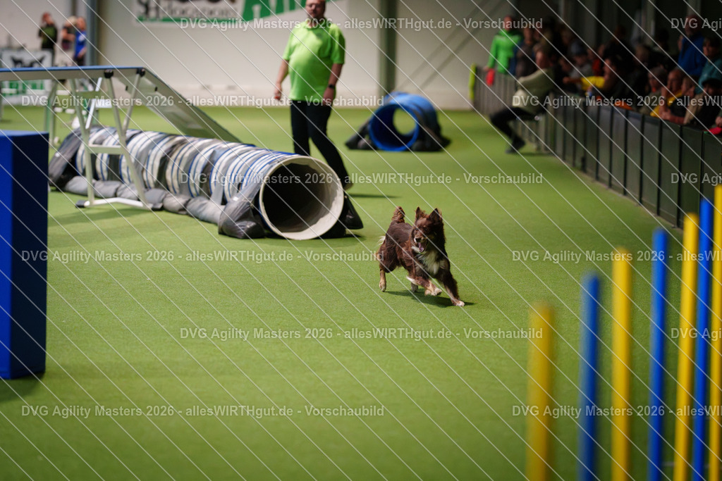 allesWIRTHgut_Tierfotografie-DVG_Agility_Masters_2026-15_38-7R502555 | Professionelle Tierfotografie in Mönchengladbach von Daniel Wirth (allesWIRTHgut). Liebevolle & natürliche Bilder von Hunden & Katzen für unvergessliche Erinnerungen.
