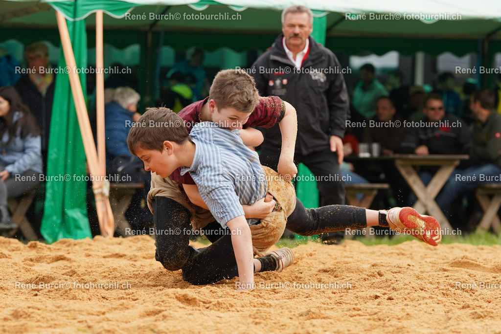 20220423-DSC08044 (2) | René Burch leidenschaftlicher Fotograf aus Kerns in Obwalden.  Hier finden sie Sport, Landschaft und Natur Fotografie.
 - Realisiert mit Pictrs.com