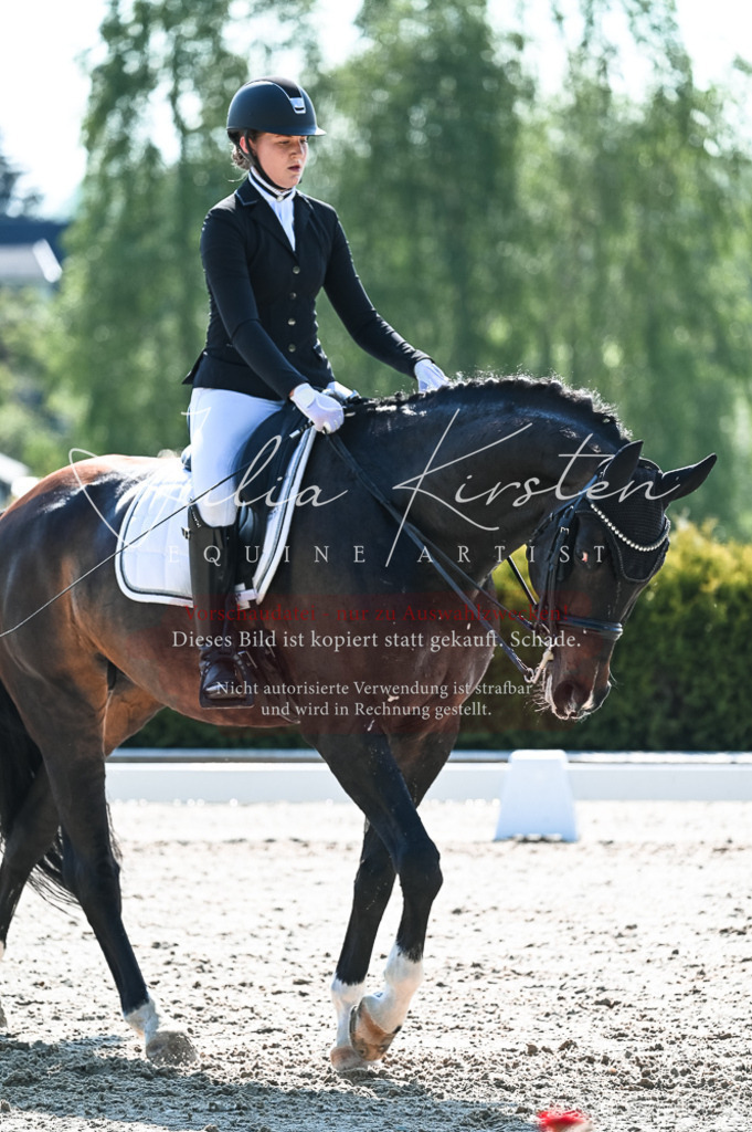 20230514_JK-Röhrsdorf-18-387 | Pferde- und Turnierfotografie in Westsachsen. Pferdeportraits, Auftragszeichnungen und intuitive Kunst.