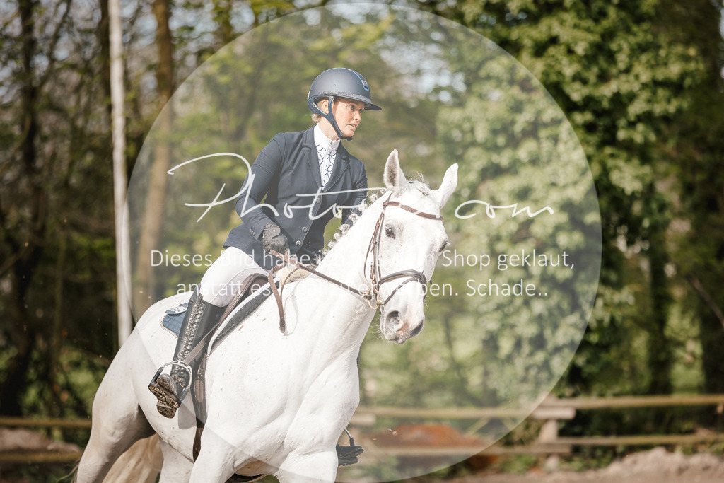 3I6A3451 | Stimmungsvolle Portraits und Reitsportfotografie im Ruhrgebiet und im Münsterland.

Pferdefotografie, Hundefotografie, Tierfotografie, Reportagen, Portraits von Tier und Mensch, Turnierfotografie in Bochum, Recklinghausen, Marl, Haltern am See, Dülmen.. - Realisiert mit Pictrs.com