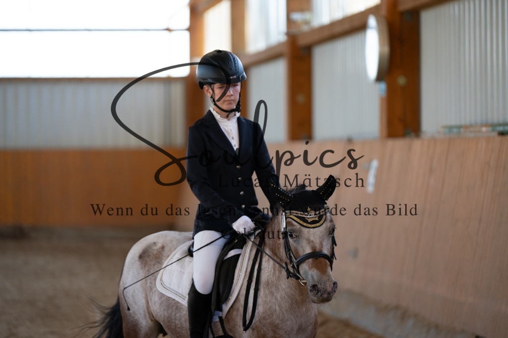 A7V01677 | Turnier/Reitfotograf