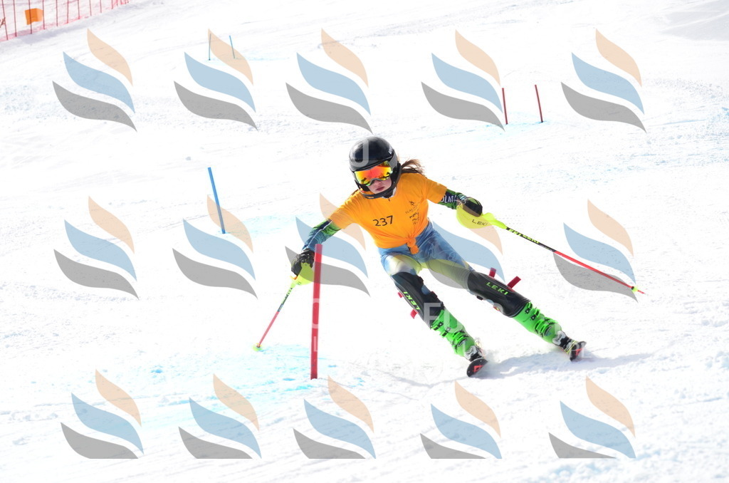 C8358 | holidayphoto