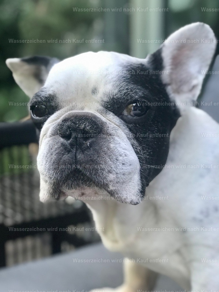 IMG_1346 | heikomoeller - Realisiert mit Pictrs.com