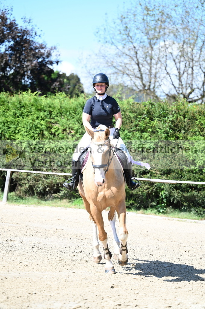 DSC_8332 | equestrian-live-com