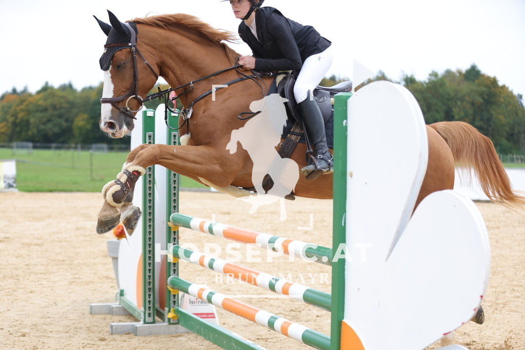 0P6A2684 | Willkommen bei Brunnmayr - Design & Fotografie – Ihrem Spezialisten für Reitturniere und Pferdeveranstaltungen in Oberösterreich, Salzburg und Bayern! Seit über 17 Jahren sind wir leidenschaftlich dabei.