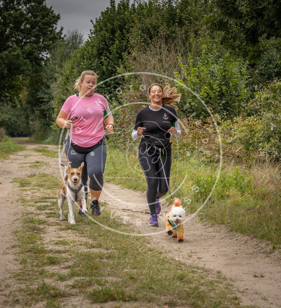 Pfotenfotografie_DV3A7091 | Hundefotografie, Tierfotograf, Pfotenfotografie, Fotoshooting Hund, Hunde Portrait, Hundesport, Hundeportraits, Heideshooting, Hunde, Sportfotograf, Hundefotograf, Turnierhundsport, THS,  - Realisiert mit Pictrs.com