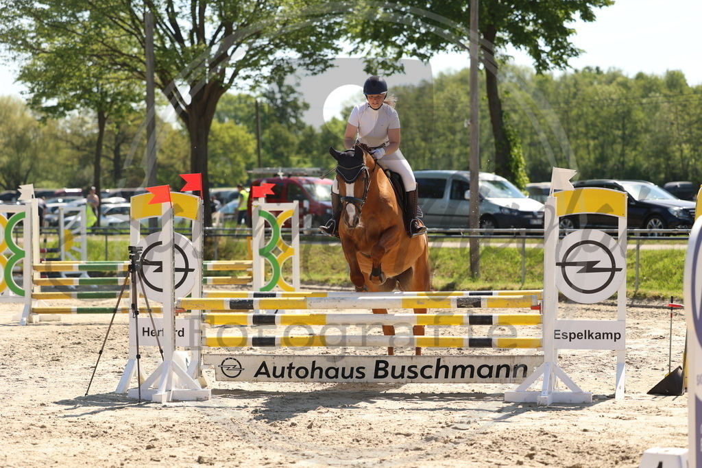 994A5674 | sabrinanicolaifotografie - Realisiert mit Pictrs.com