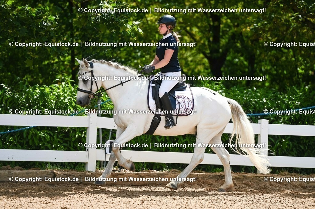 20230715_09_Dressur-WB_0093 | equistock