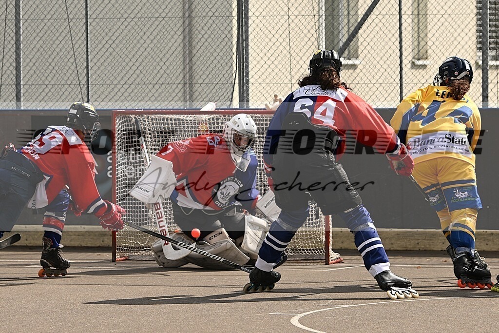 aaaDSC_2521 | Kaufen Sie Sportbilder im Onlineshop von Andy Scherrer Sportfotografie. Faszinierende Bilder von Sportevents aus der ganzen Schweiz. Fussball, Frauenfussball, Unihockey, Handball, Schwingen und weiteren Sportarten. - Realisiert mit Pictrs.com