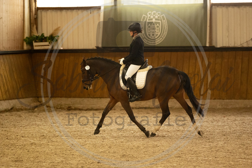 994A3557 | sabrinanicolaifotografie - Realisiert mit Pictrs.com