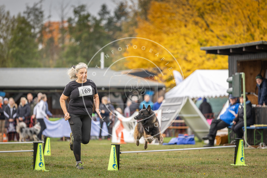 Pfotenfotografie_DV3A5475 | Hundefotografie, Tierfotograf, Pfotenfotografie, Fotoshooting Hund, Hunde Portrait, Hundesport, Hundeportraits, Heideshooting, Hunde, Sportfotograf, Hundefotograf, Turnierhundsport, THS,  - Realisiert mit Pictrs.com