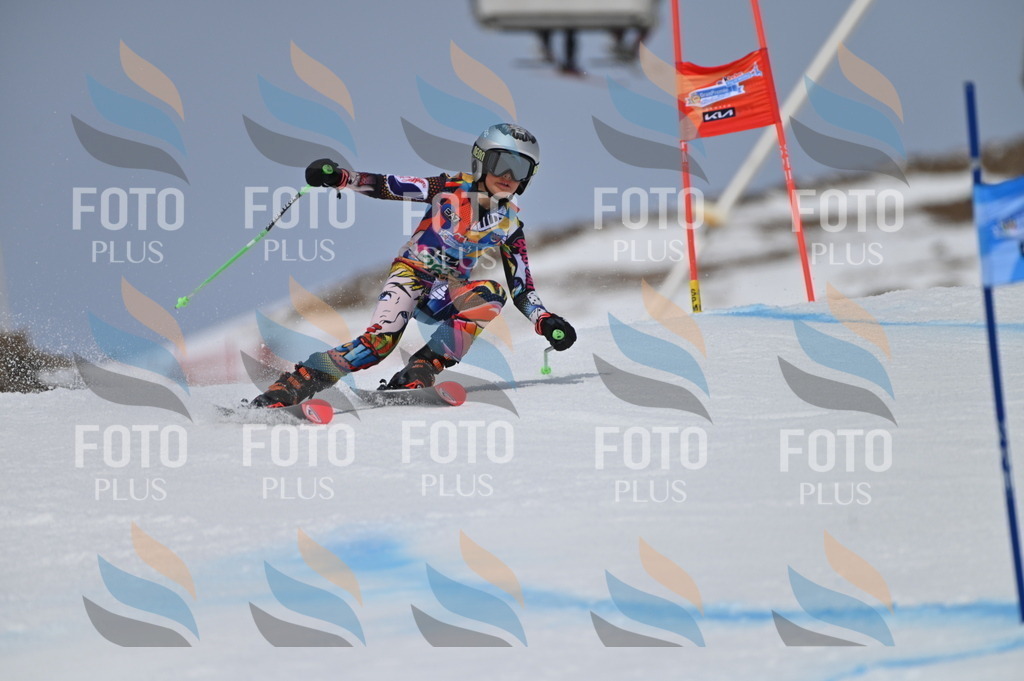 BGV_5214 | holidayphoto