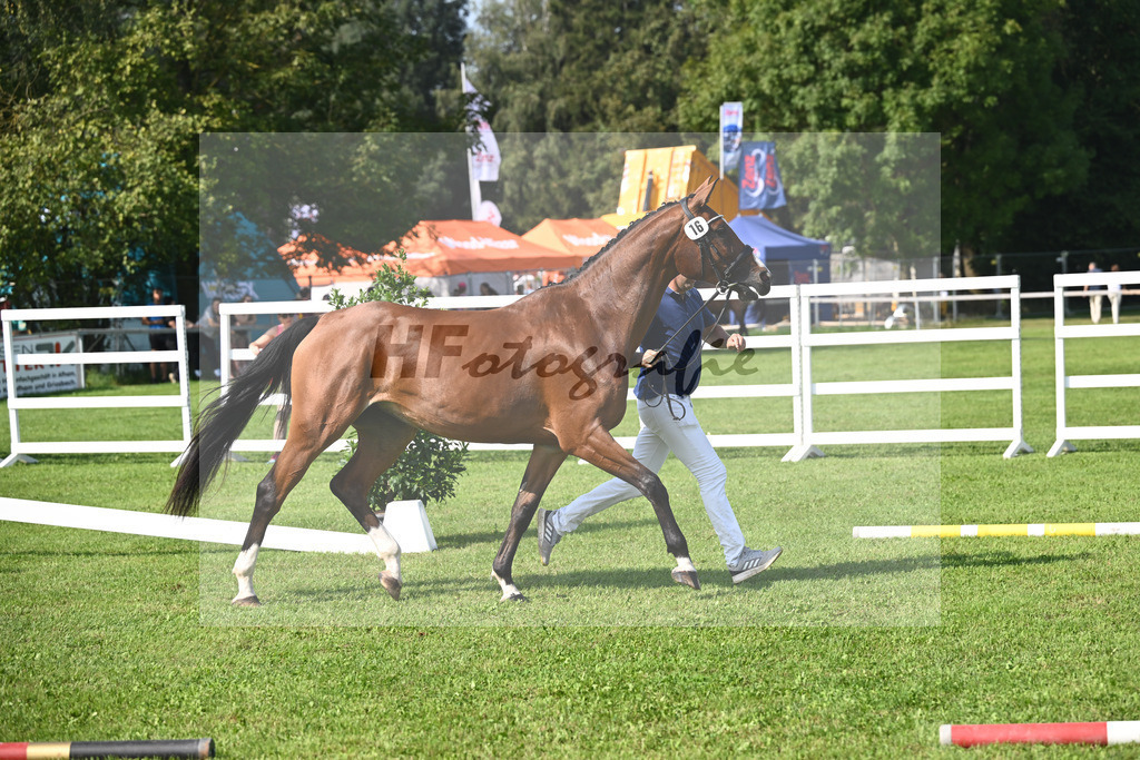 Kat-Nr. 16 Totytchella_Wimmer_34240370 | hf-fotografie - Realisiert mit Pictrs.com