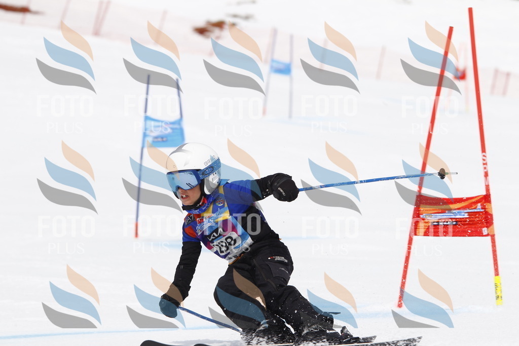 _U3G7436 | holidayphoto