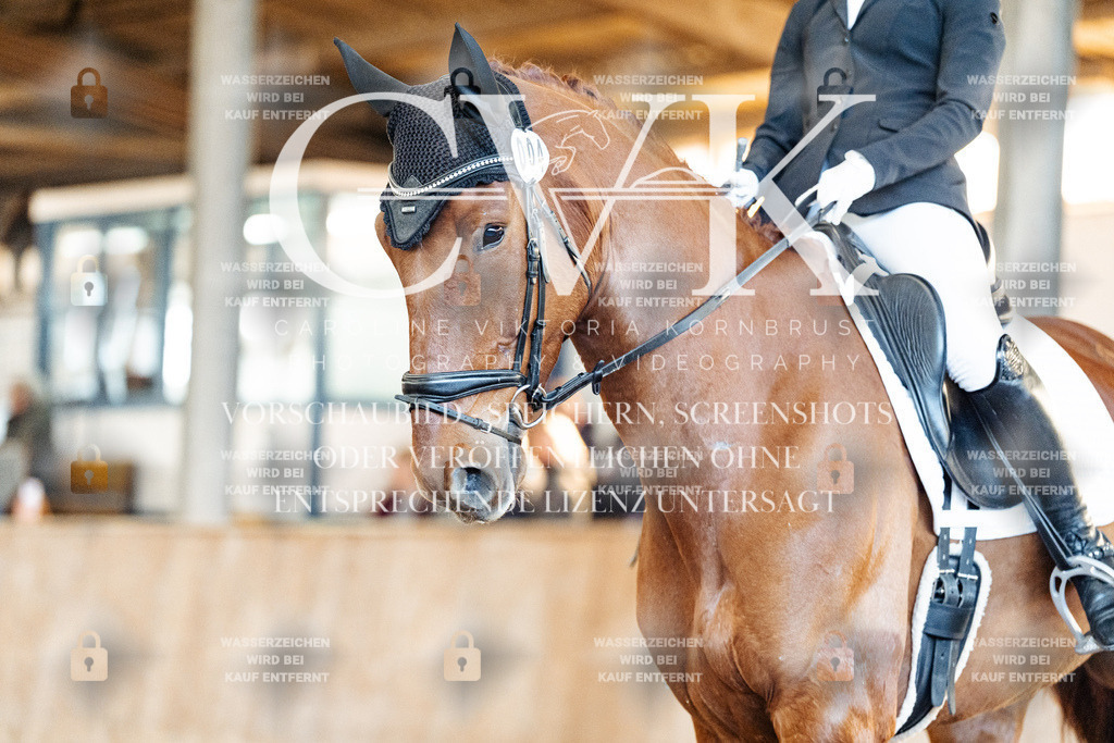 CK908722 | Turnierfotografie Pferdefotografie Trier Rheinland-Pfalz Pferdesport Reitsport Tierfotografie Sportfotografie Pferdevideo Pferdevideografie Equestrianvideography equestrianphotography  - Realisiert mit Pictrs.com