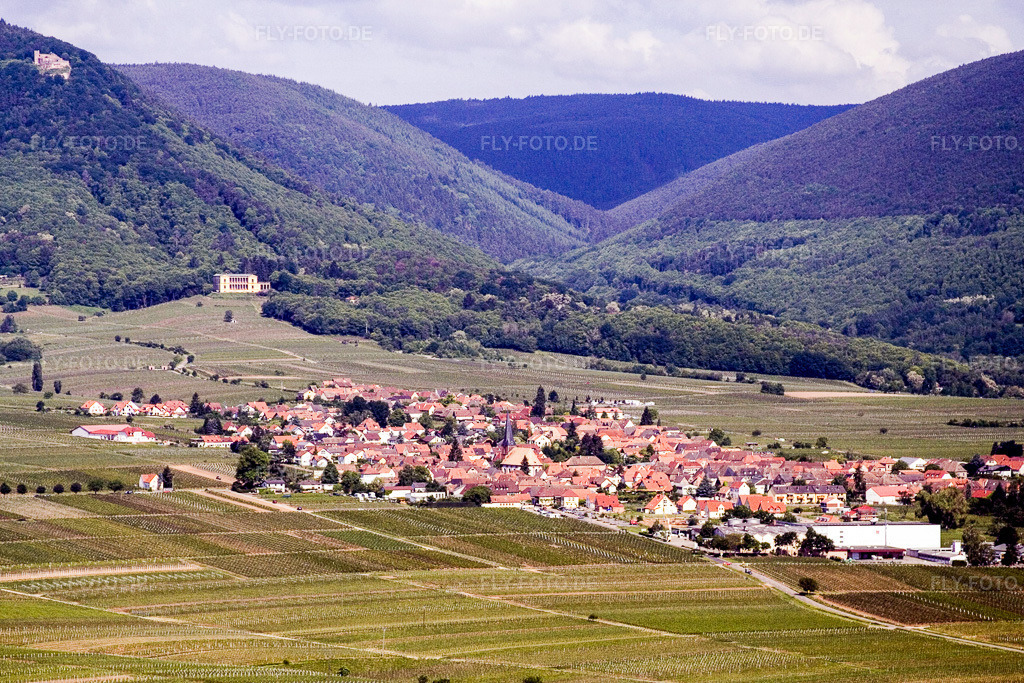 Luftbild: Ortsansicht aus Südosten unter der Rietburg und vor der Villa Ludwigshöhe in Rhodt unter Rietburg im Bundesland Rheinland-Pfalz in Deutschland. Foto: IMG_2197.jpg vom 03.06.2006 durch Werner Riehm/FLY-FOTO.de