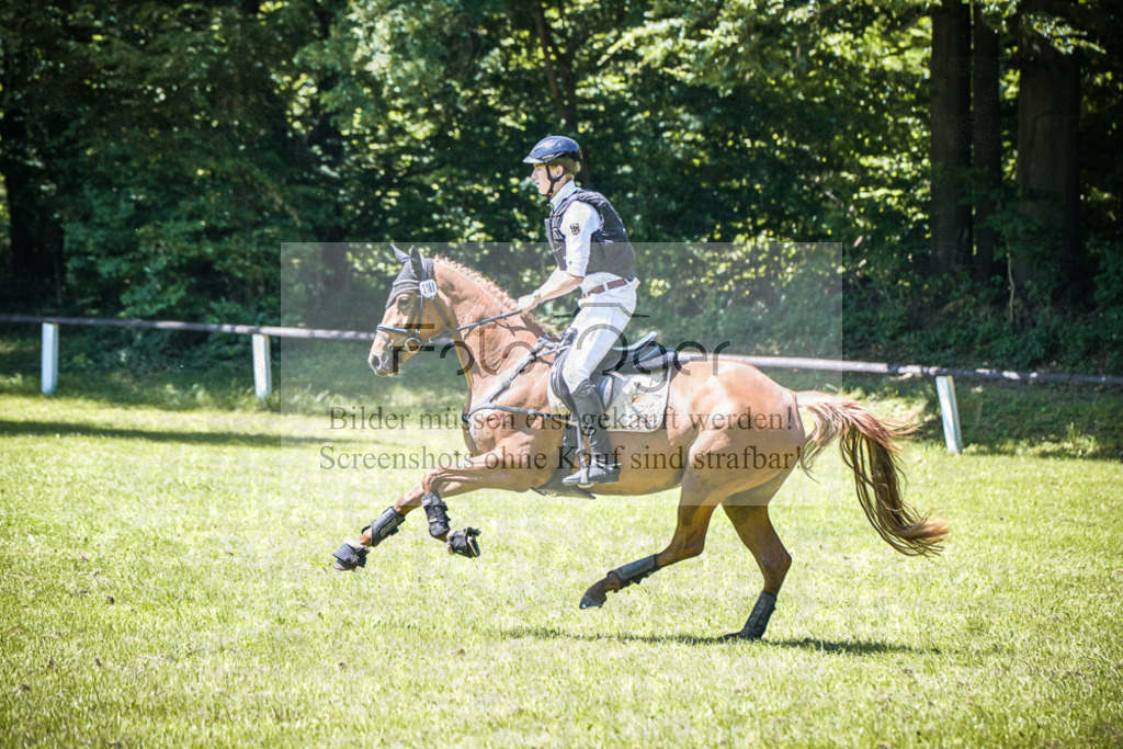 DOS_2391 | Entdecke hochwertige Reitturnierfotos von Foto Oger. Professionell, emotional und authentisch – jetzt Lieblingsmomente im Shop bestellen.Deutschlandweite Turnierfotografie. - Realisiert mit Pictrs.com