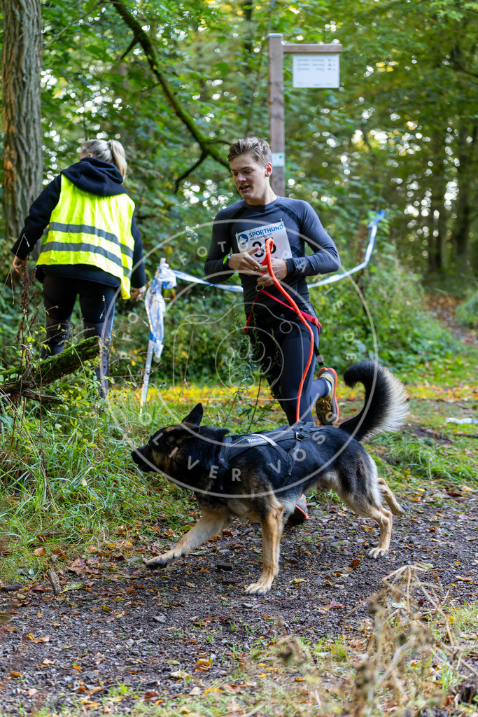 Pfotenfotografie_DV3A6731 | Hundefotografie, Tierfotograf, Pfotenfotografie, Fotoshooting Hund, Hunde Portrait, Hundesport, Hundeportraits, Heideshooting, Hunde, Sportfotograf, Hundefotograf, Turnierhundsport, THS,  - Realisiert mit Pictrs.com