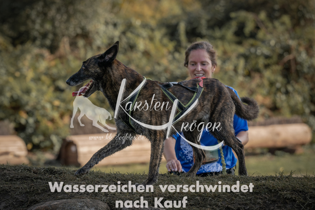 1054_ZZ99494 | kk-dogfotos