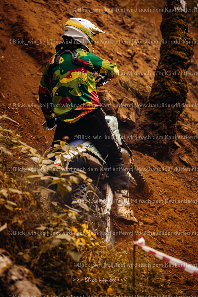 E68A4211 | blick_win_kel