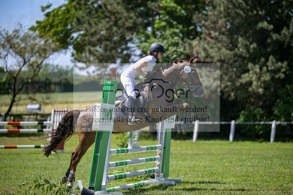 Reitturnier Voxtrup | Entdecke hochwertige Reitturnierfotos von Foto Oger. Professionell, emotional und authentisch – jetzt Lieblingsmomente im Shop bestellen.Deutschlandweite Turnierfotografie. - Realisiert mit Pictrs.com