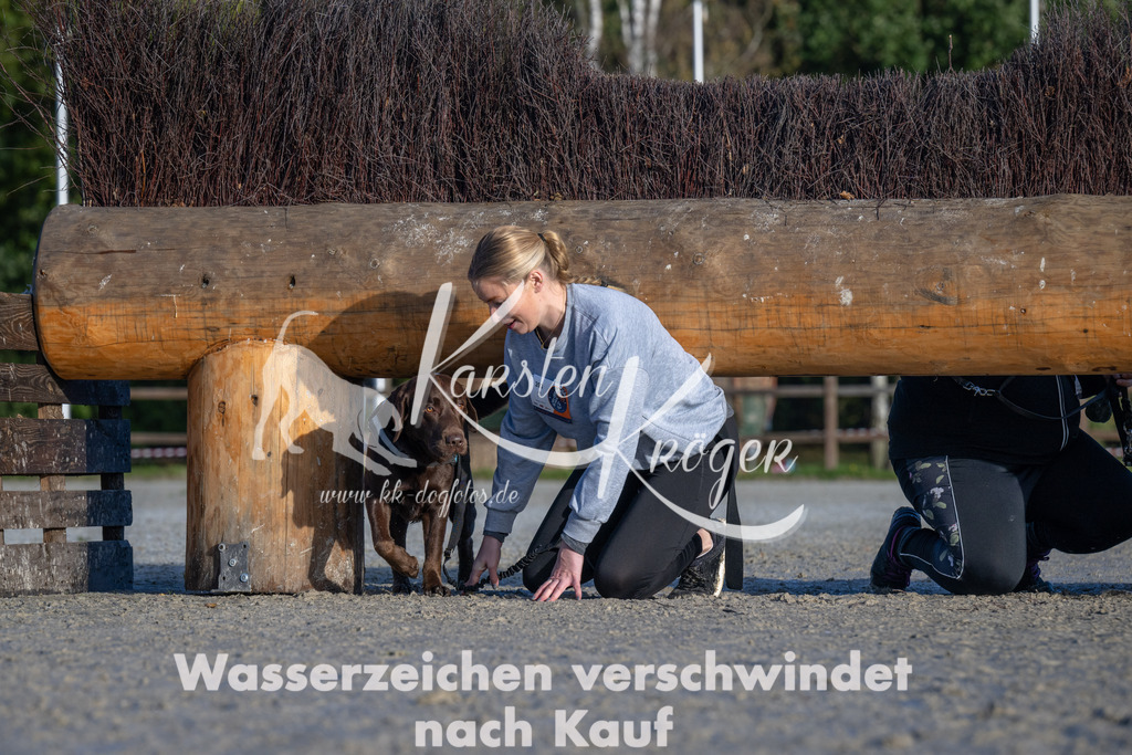 1003-_ZZ90191 | kk-dogfotos