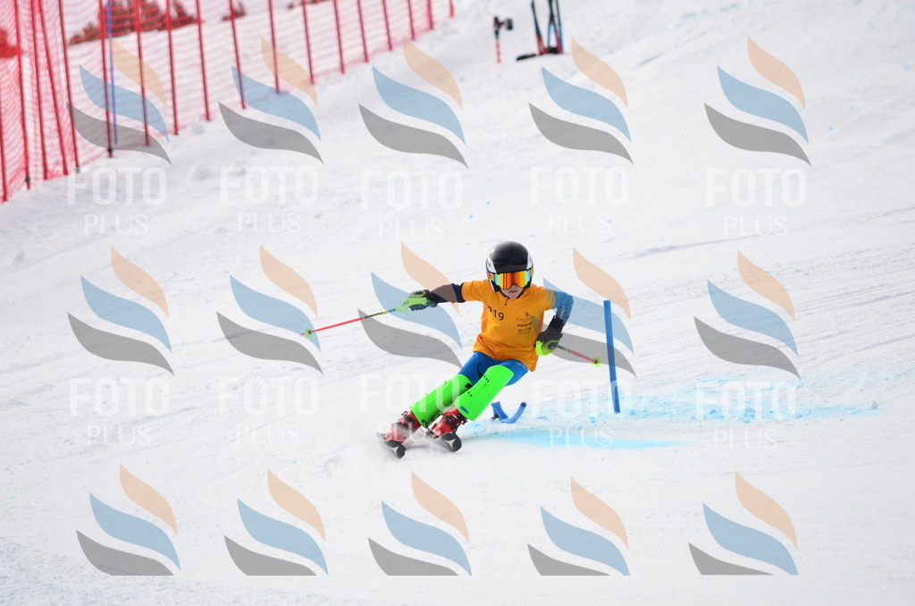 C8227 | holidayphoto