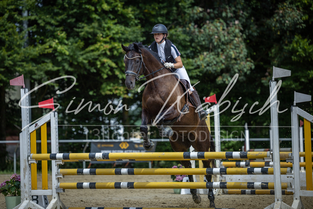 20260704-_3LI0729 | Tierfotografie Pferde, Hunde, Katzen, Haustiere.
Turnierfotografie Reitturniere, Reiten, Springreiten, Dressur in Hanau, dem Main-Kinzig-Kreis und dem Rhein-Main- Gebiet um Frankfurt
