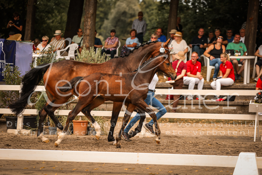 SaPA00209 | Leoni Ertmer Photography - Realisiert mit Pictrs.com