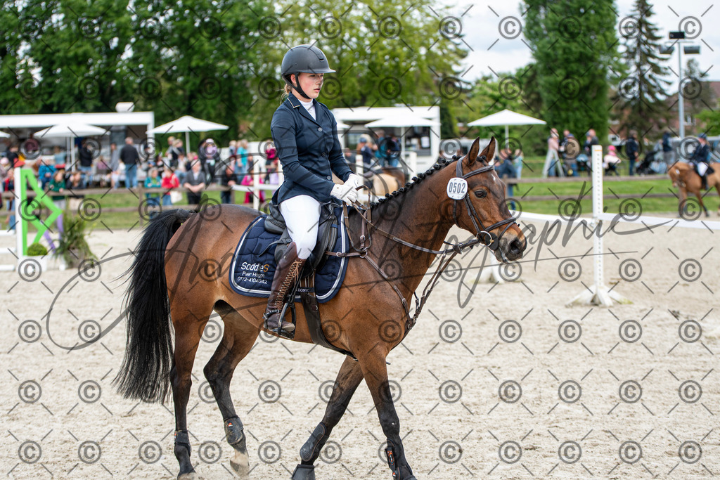 KPT_6332 | andre_photographic