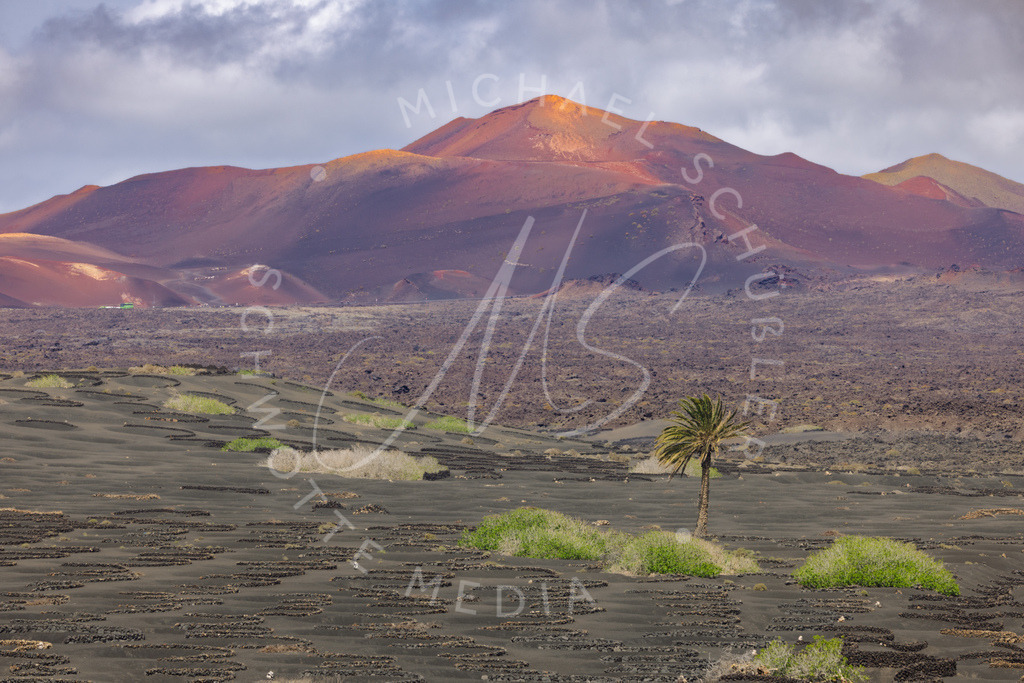 2025-03-27 Lanzarote Bodega La Geria 026 | Schwotte Media - Realisiert mit Pictrs.com