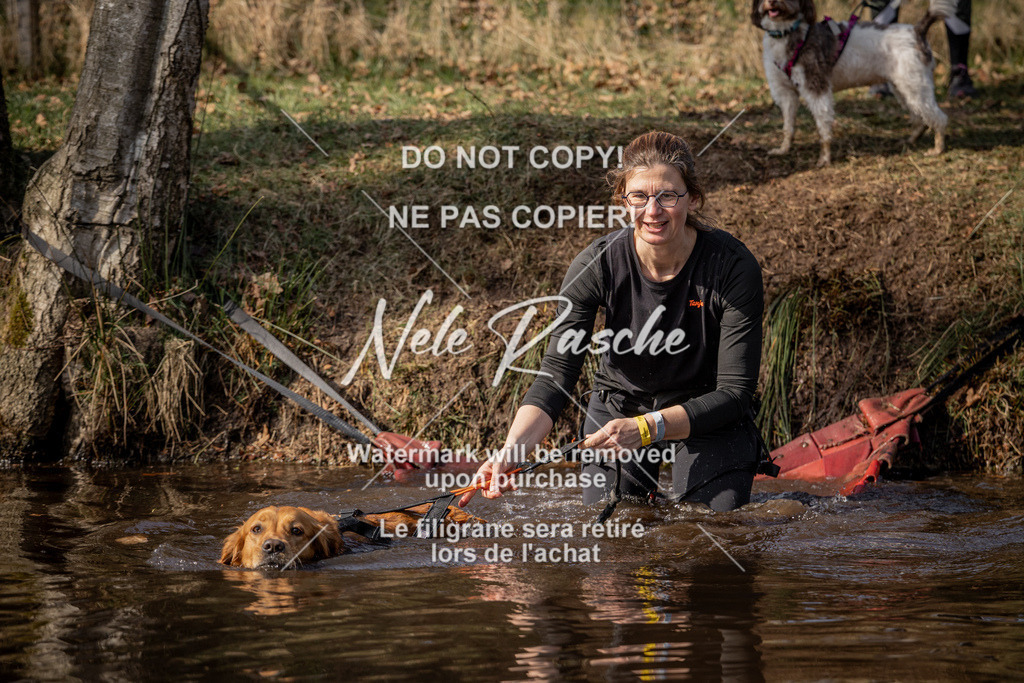 nelerasche_FS1330-1400_259 | nelerasche