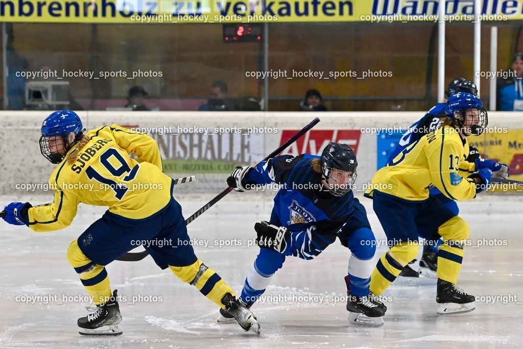 BST_5154 | hockey sports photos, Pressefotos, Sportfotos, hockey247, win 2day icehockeyleague, Handball Austria, Floorball Austria, ÖVV, Kärntner Eishockeyverband, KEHV, KFV, Kärntner Fussballverband, Österreichischer Volleyballverband, Alps Hockey League, ÖFB, 