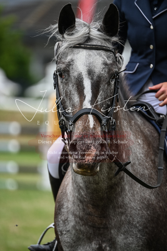 DSC_8553 | Pferde- und Turnierfotografie in Westsachsen. Pferdeportraits, Auftragszeichnungen und intuitive Kunst.