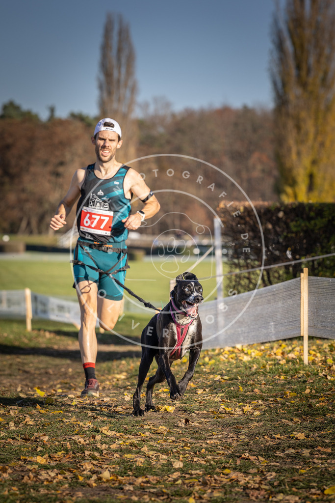 CaniXpix_DV3A0988 | Hundefotografie, Tierfotograf, Pfotenfotografie, Fotoshooting Hund, Hunde Portrait, Hundesport, Hundeportraits, Heideshooting, Hunde, Sportfotograf, Hundefotograf, Turnierhundsport, THS,  - Realisiert mit Pictrs.com