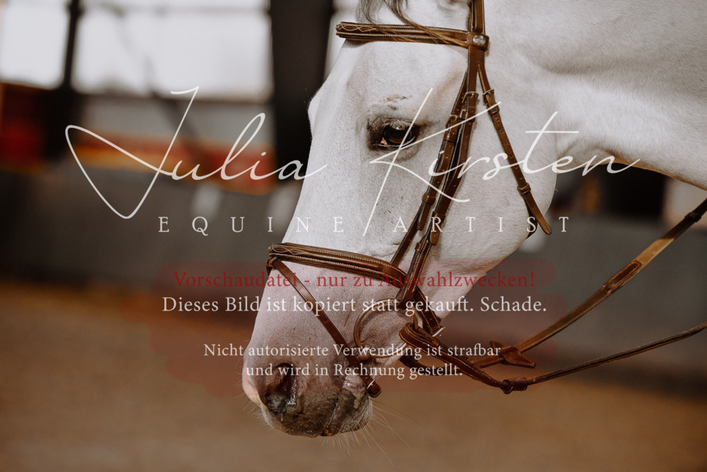 DSC_7545 | Pferde- und Turnierfotografie in Westsachsen. Pferdeportraits, Auftragszeichnungen und intuitive Kunst.